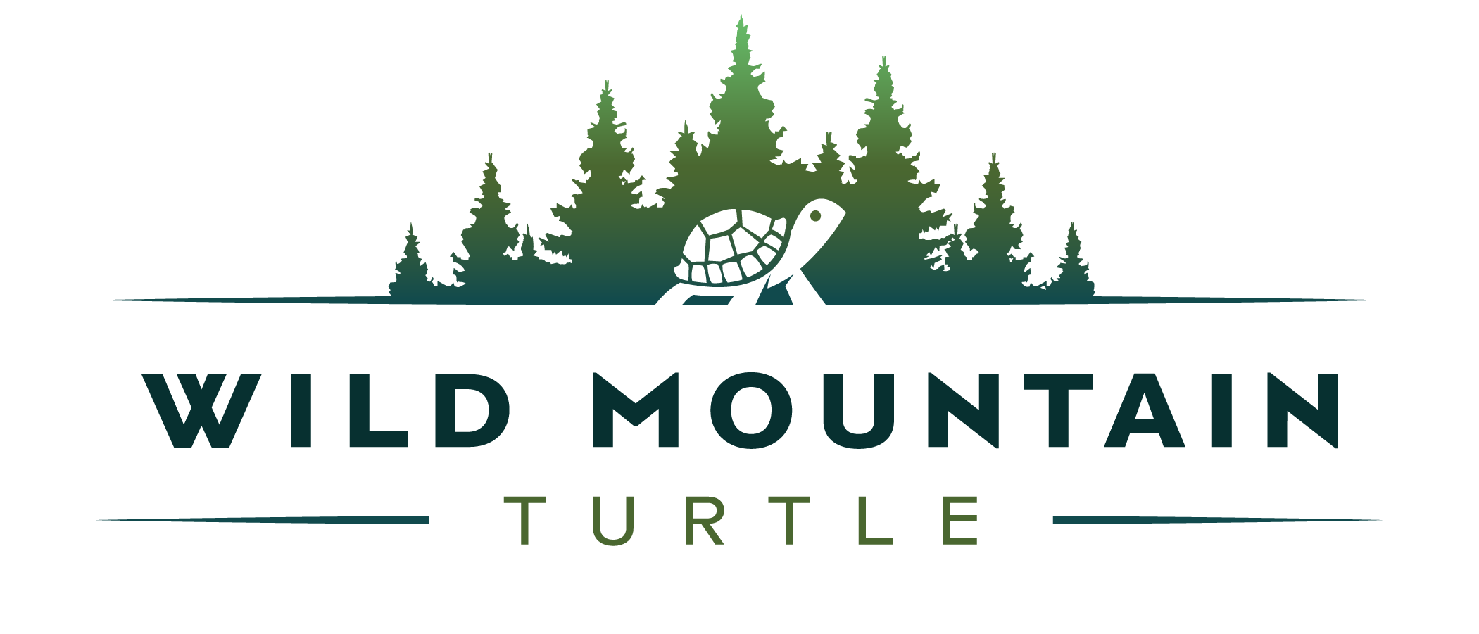 WildMountainTurtle_RGB Wild Mountain Turtle
